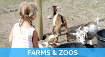 Activity - Farms & Zoos