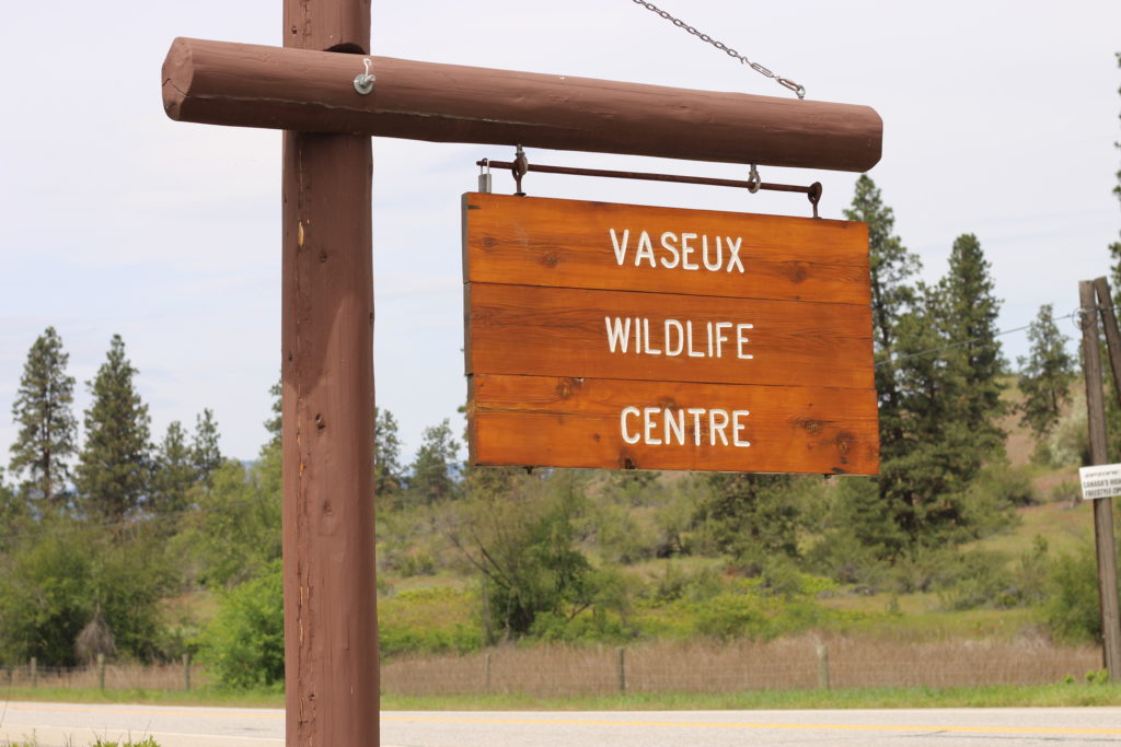 Vaseux Lake Wildlife Centre