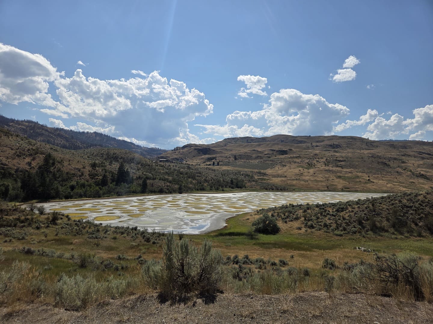 Spotted Lake - Osoyoos