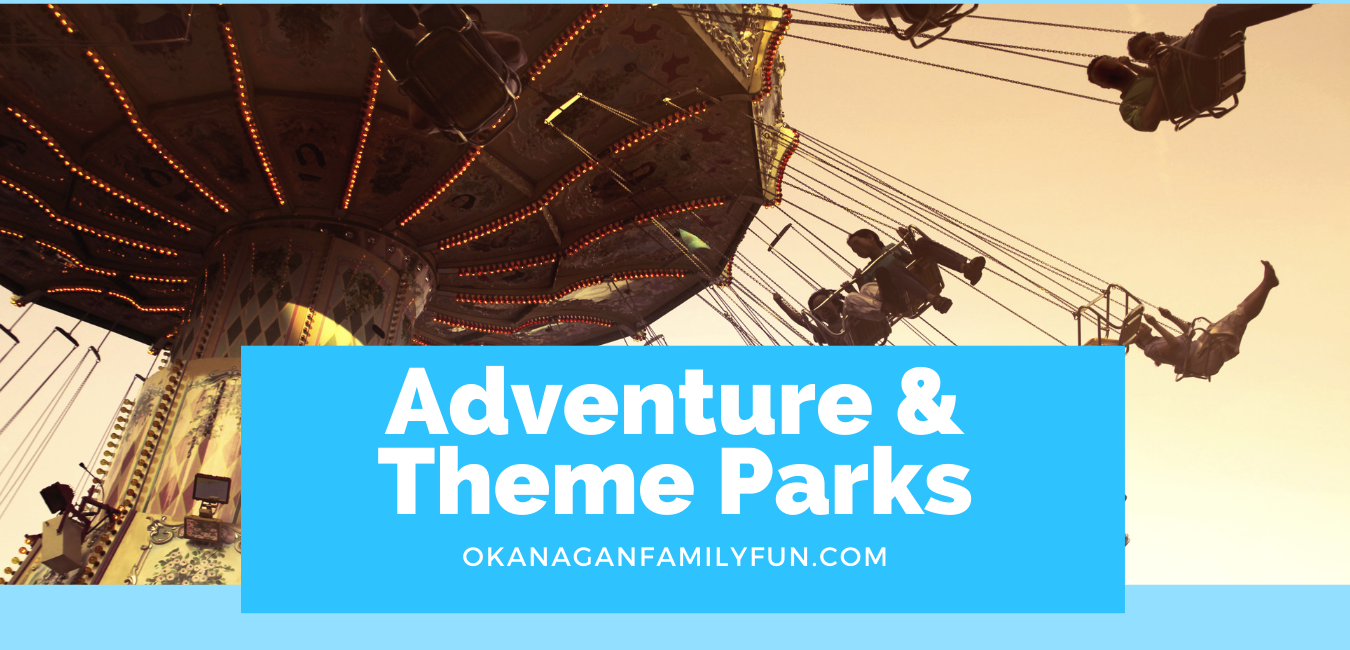 Activity - Adventure & Theme Parks