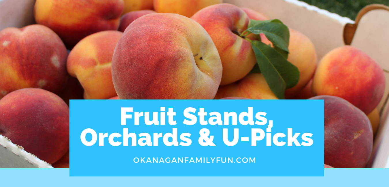 Activity - Fruit Stands, Orchards & U-Picks
