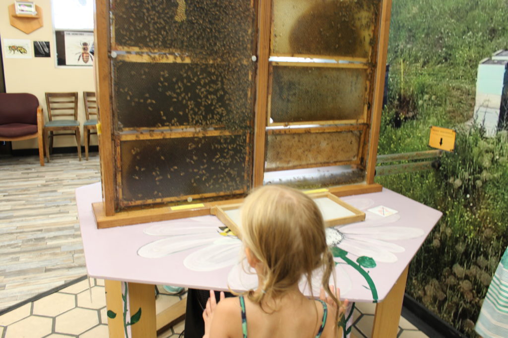 Planet Bee Honey Farm in Vernon