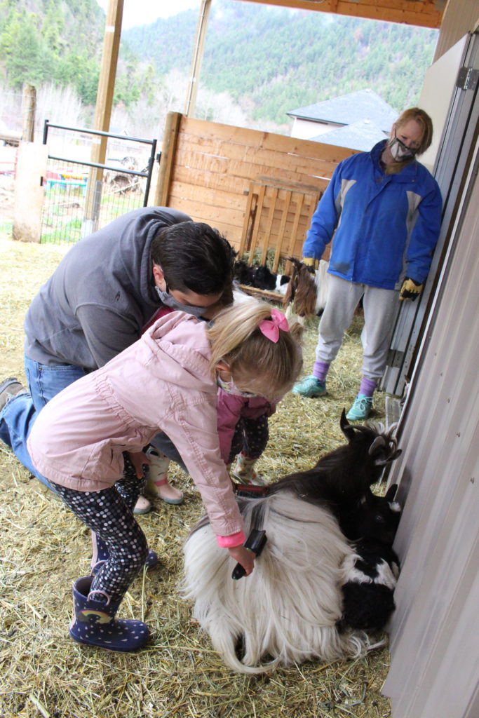 Gotta Goat Farm in Penticton