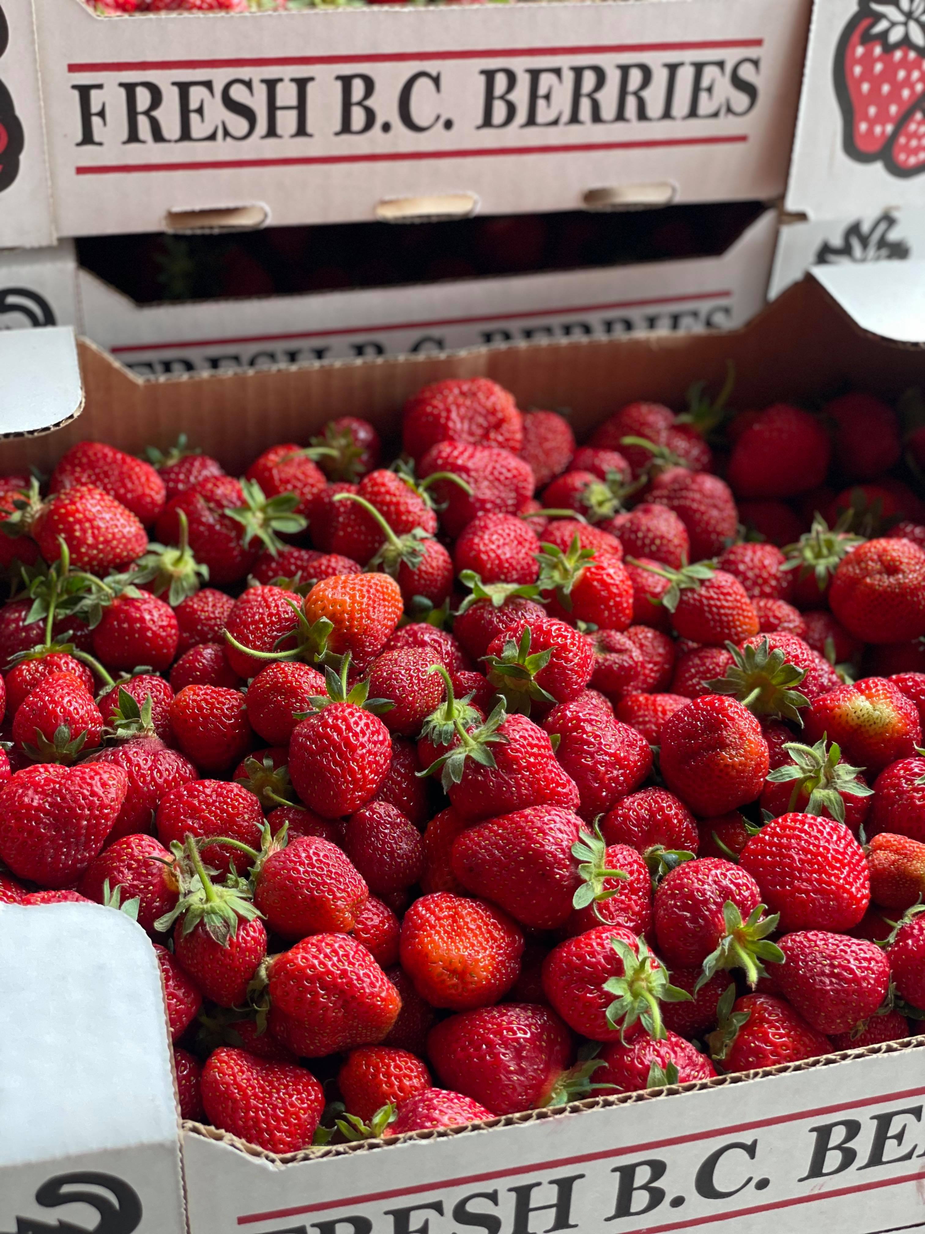Fresh BC Strawberries at Gatzke's Farm Market in Oyama