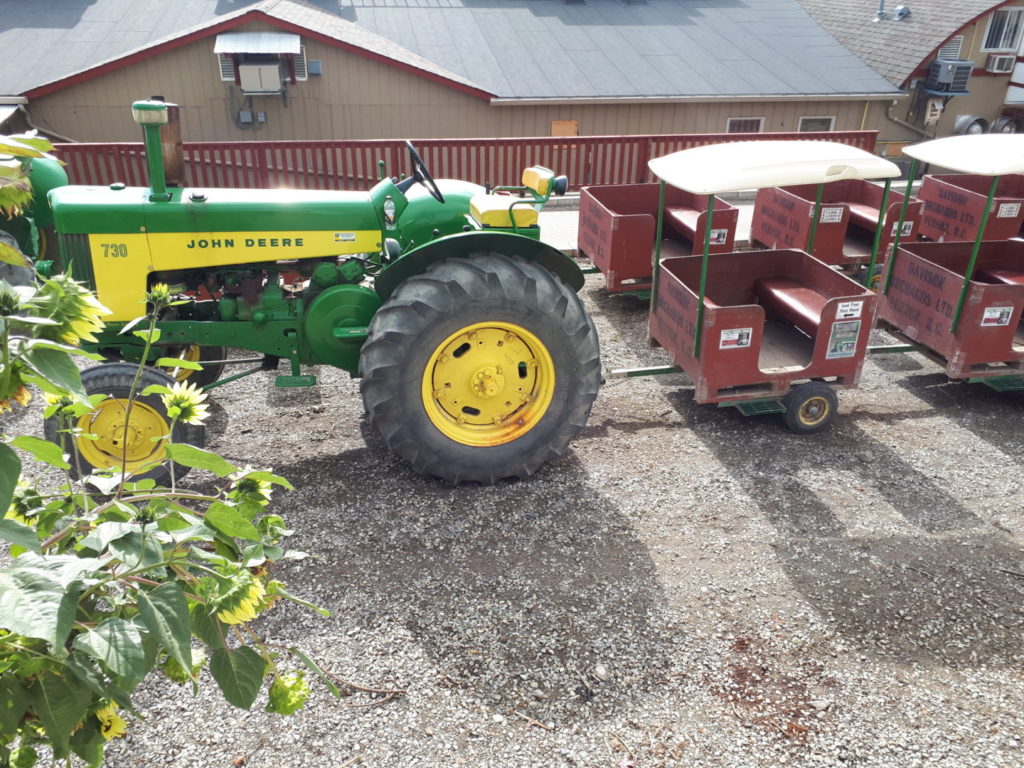 Johnny Popper Tour at Davison Orchards, Vernon