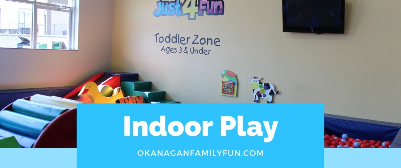 Family Activity - Indoor Play