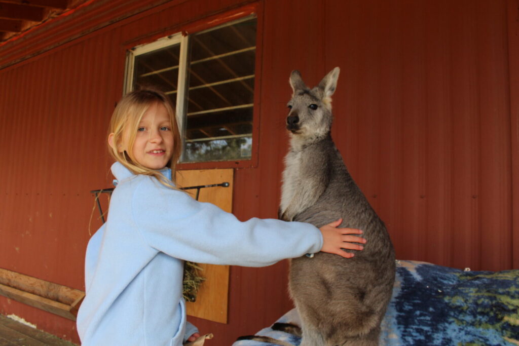 Kangaroo Creek Farm, Kelowna