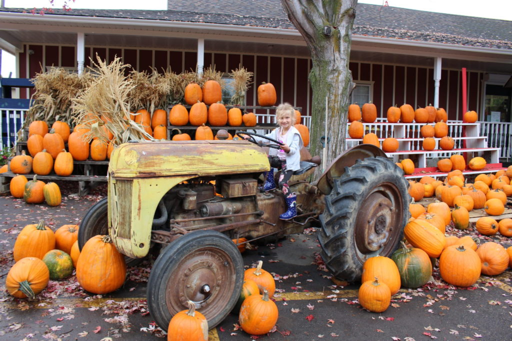 Okanagan Pumpkin Patches and Corn Mazes