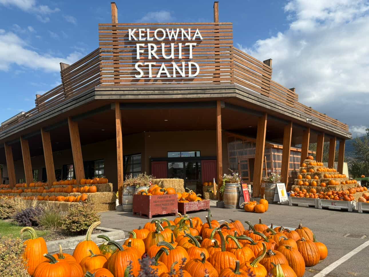 Kelowna Fruit Stand Pumpkin Display - Photo Credit Kelowna Fruit Stand
