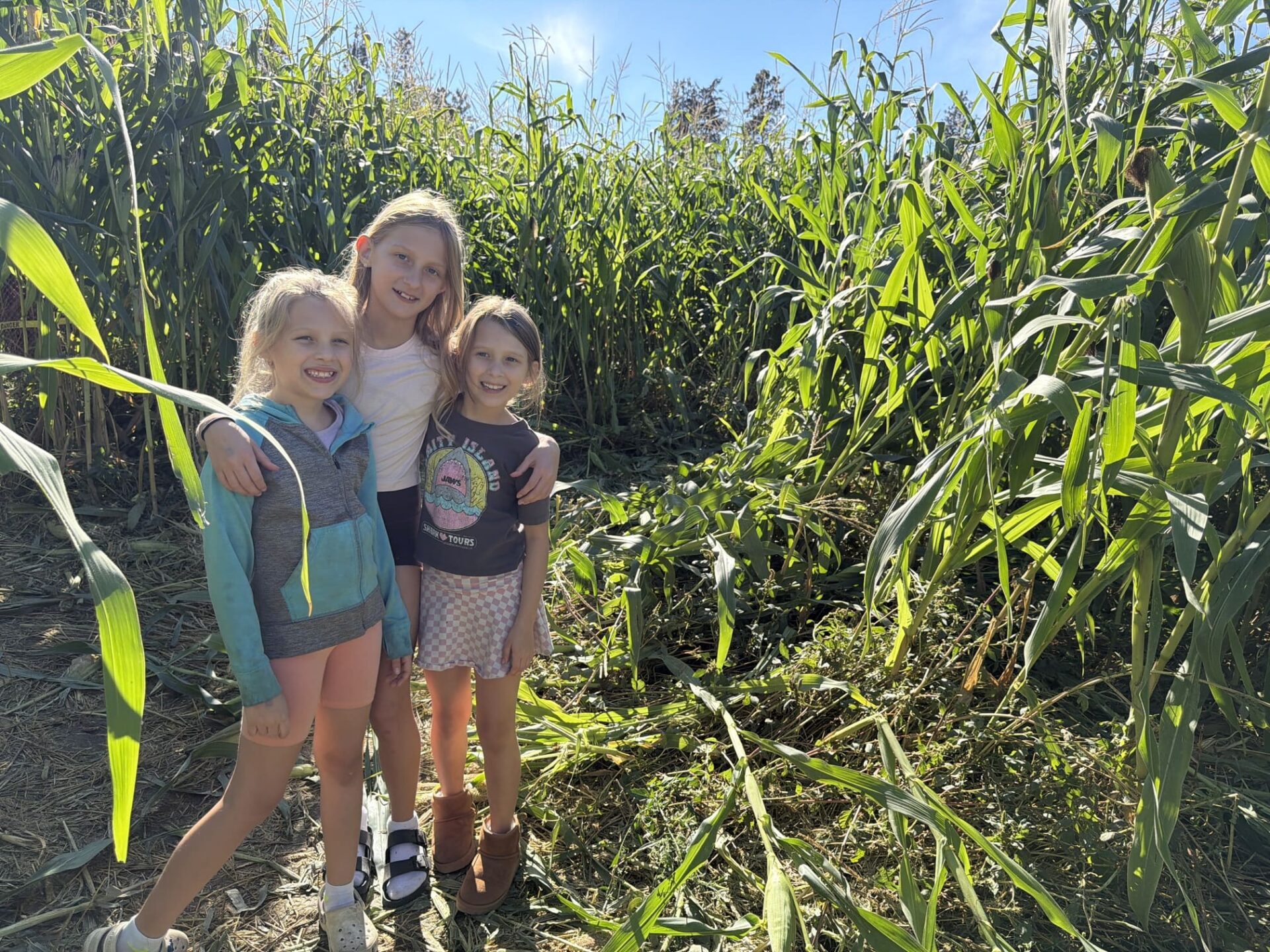 McMillan Farms Corn Maze, Kelowna