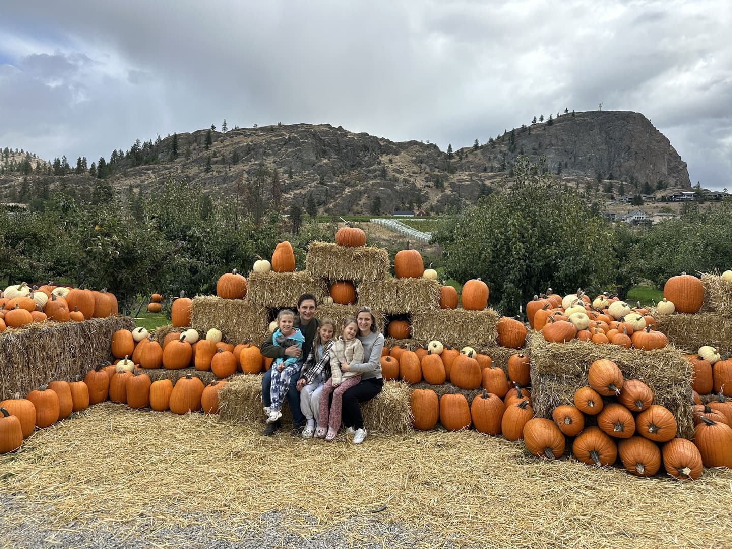 The Apple Bin - Okanagan Falls