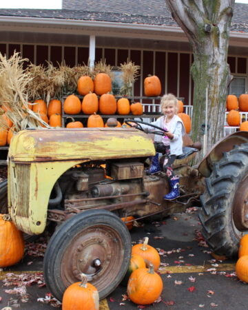 Pumpkin Patches & Corn Mazes