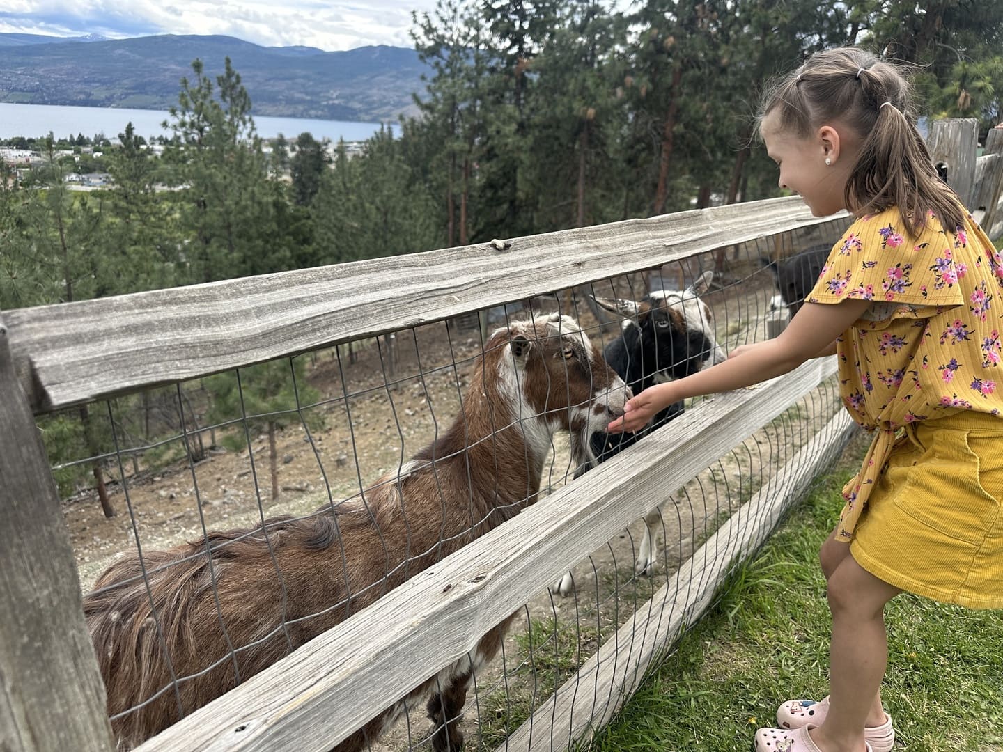 Off the Grid Organic Winery - West Kelowna