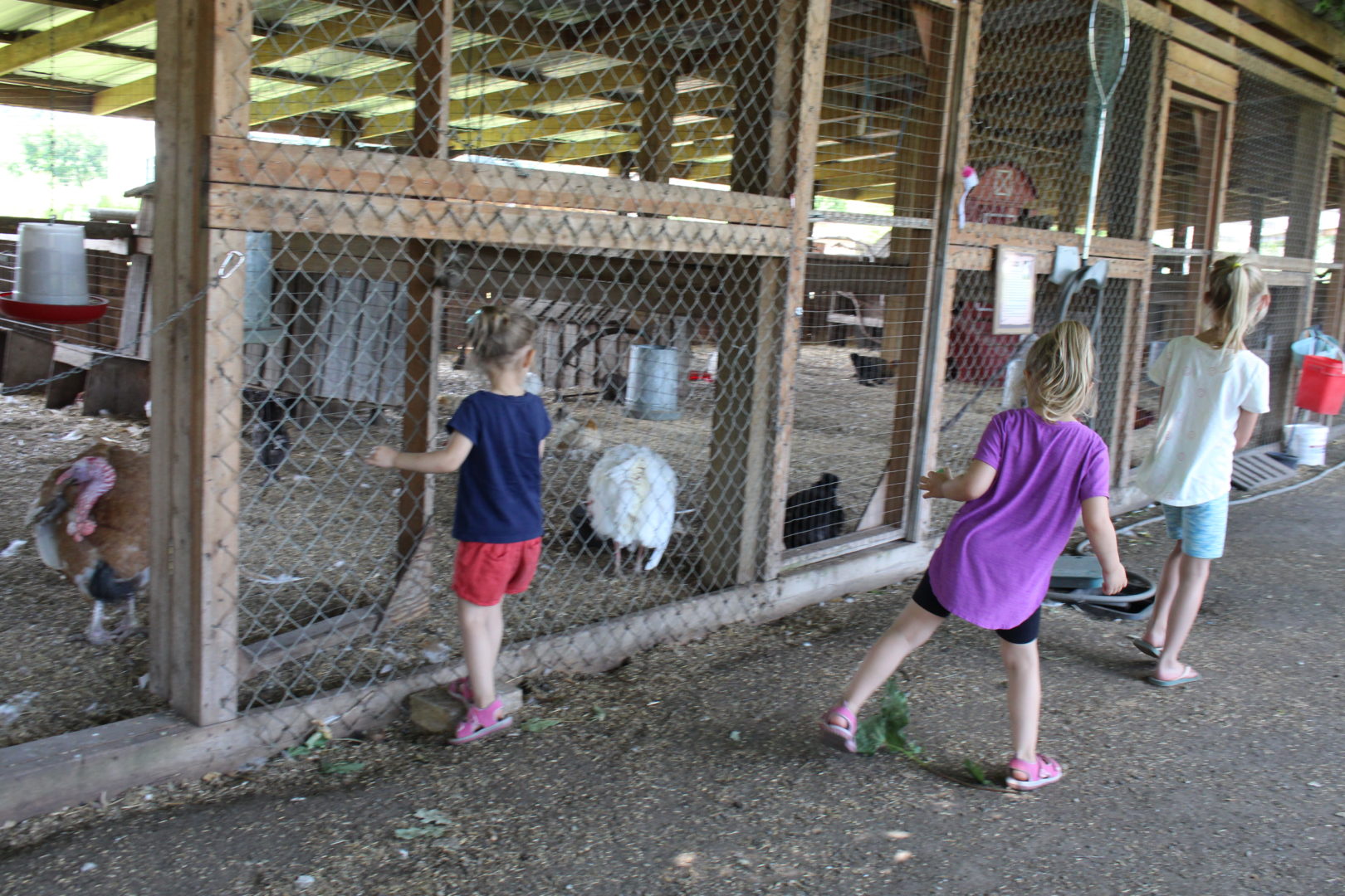 Historic O'Keefe Ranch - Vernon, BC