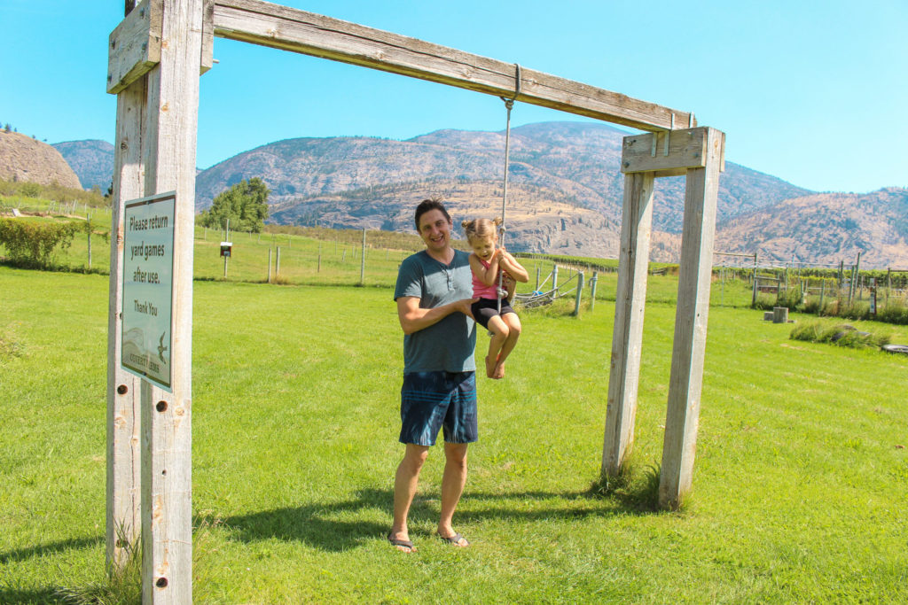 Family Yard Games