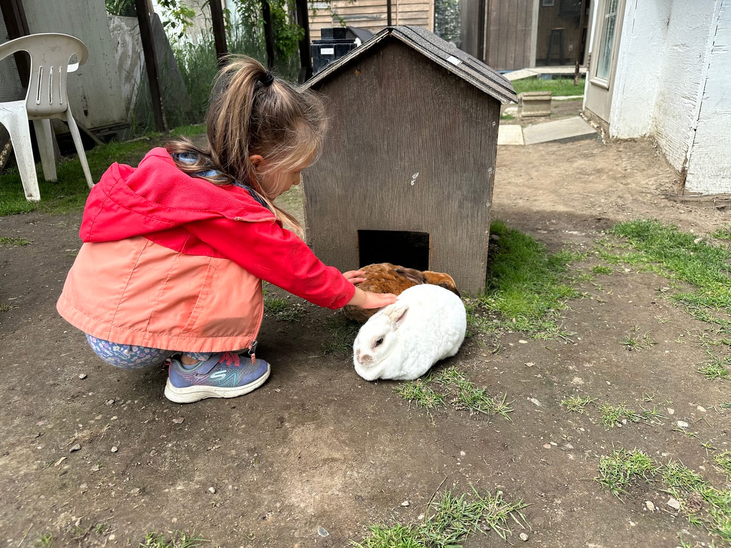 Don-O-Ray Farm Adventure - Kelowna