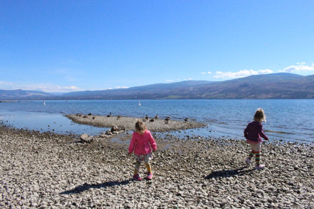Gellatly Nut Farm - West Kelowna