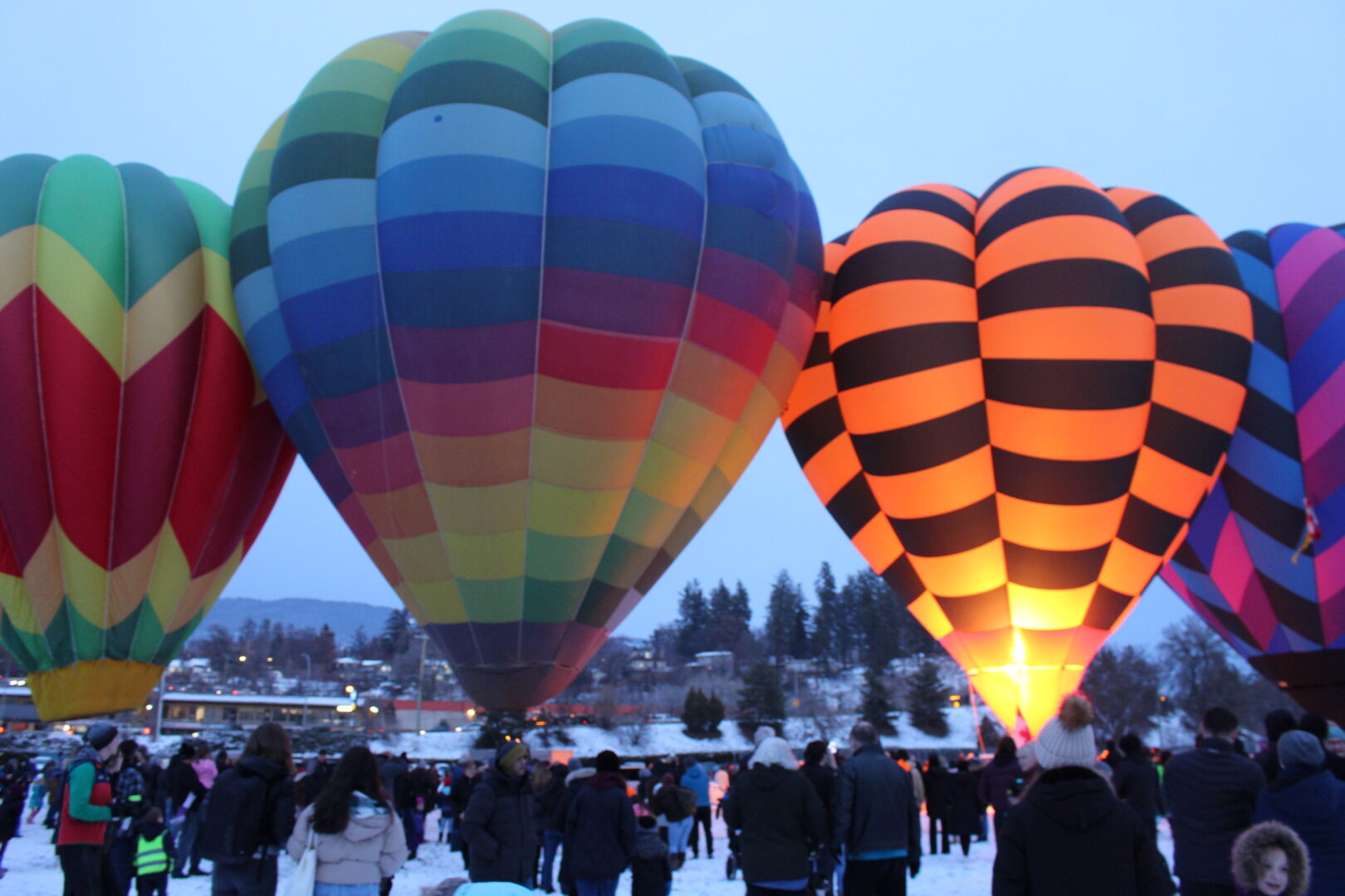 Vernon Winter Carnival