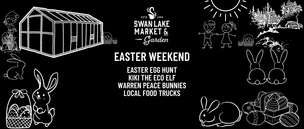 Easter Weekend Fun - Swan Lake Vernon