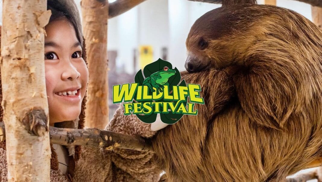 2024 Wildlife Festival - Penticton