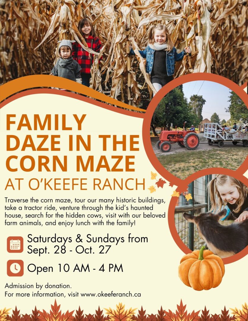 Family Daze in the Corn Maze - Vernon