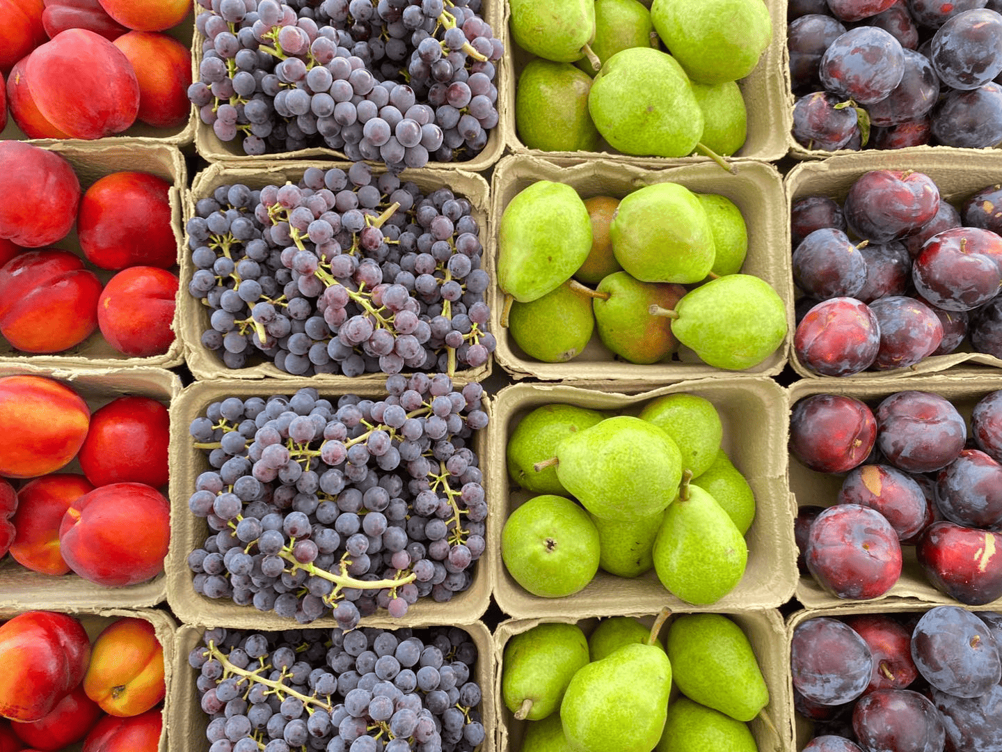 Fortunato Fruits - Oliver
