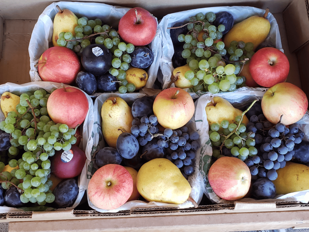 Gatzke Orchard’s Farm Market