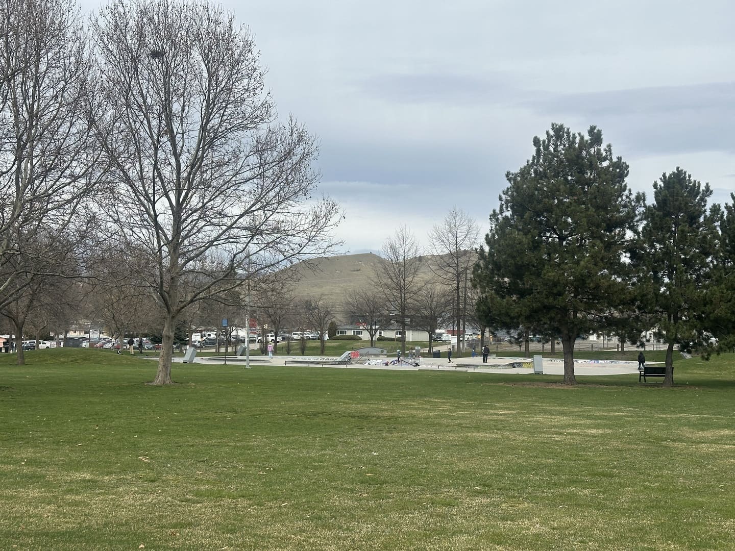 Ben Lee Skatepark Ben Lee Skatepark