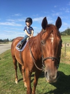 Bridlewood Riding Centre Bridlewood Riding Centre