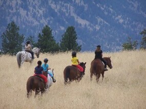 Bridlewood Riding Centre Bridlewood Riding Centre