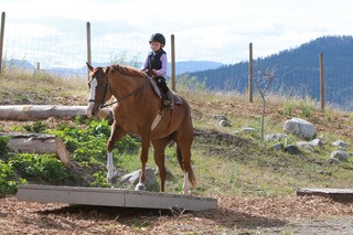 Bridlewood Riding Centre Bridlewood Riding Centre