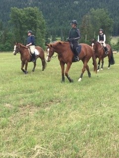 Bridlewood Riding Centre Bridlewood Riding Centre