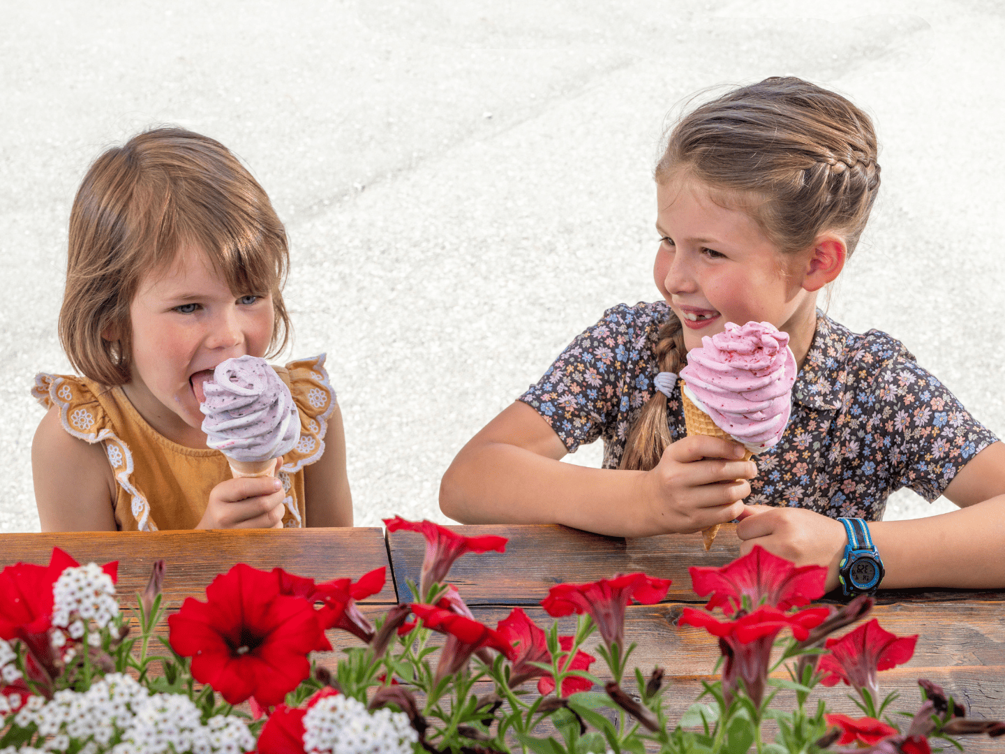 Davison Orchards Ice Cream Davison Orchards Ice Cream