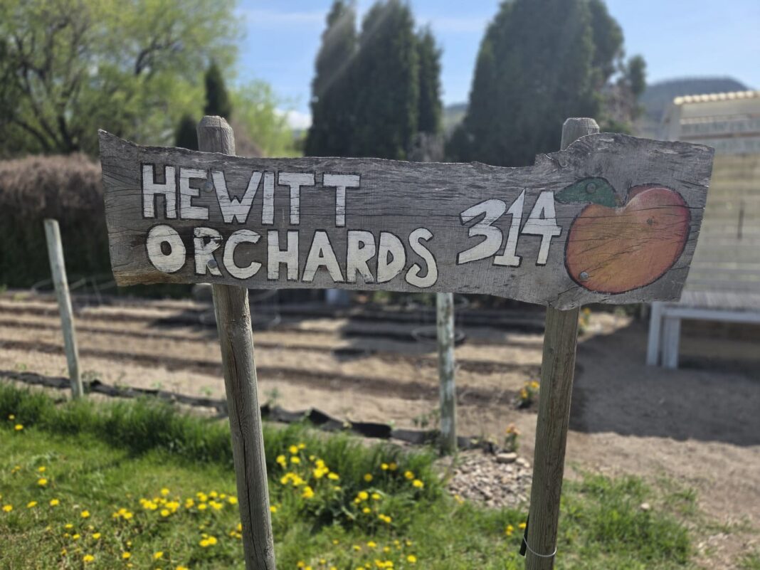 Hewitt Orchards - Oliver