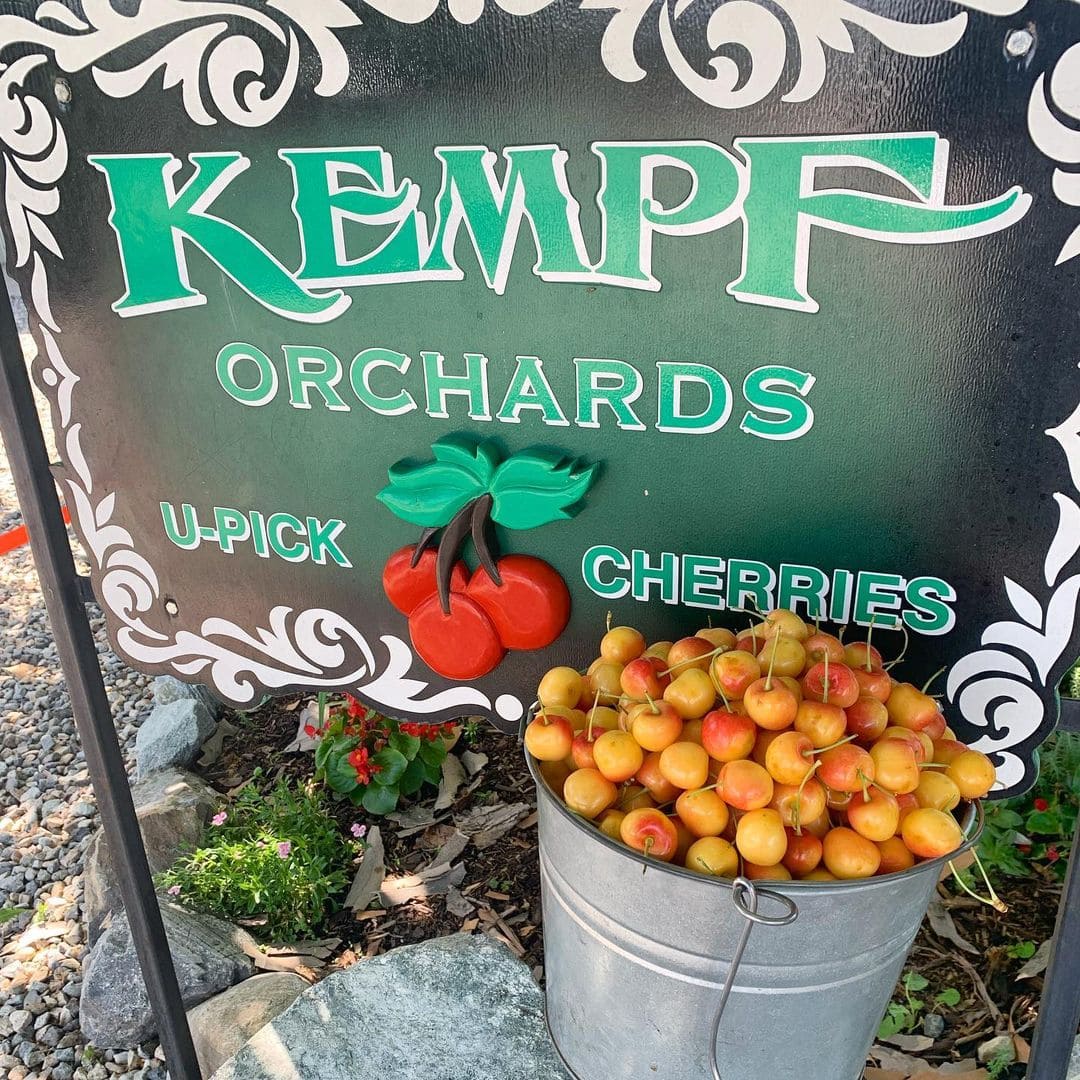 Kempf Orchards