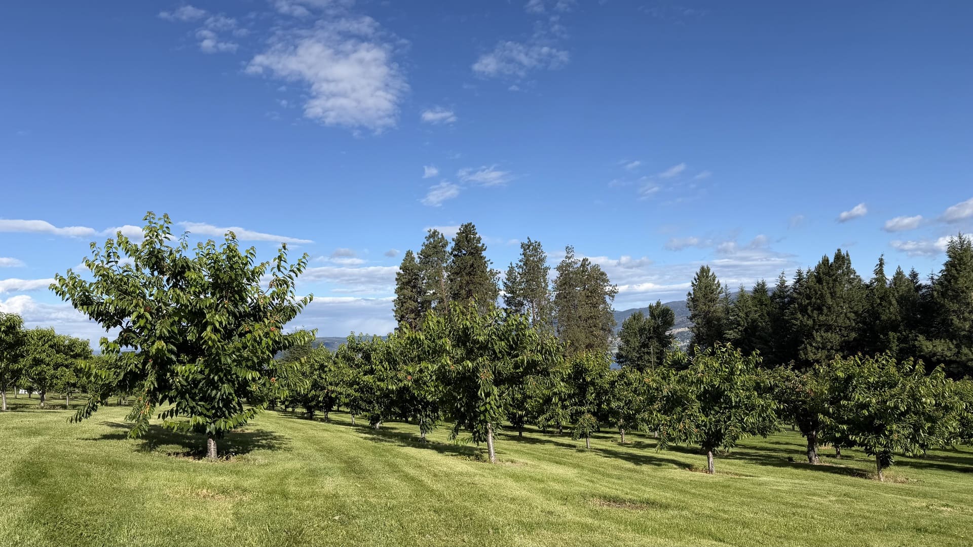 Kuipers Family Fruit Farm, Kelowna Kuipers Family Fruit Farm, Kelowna