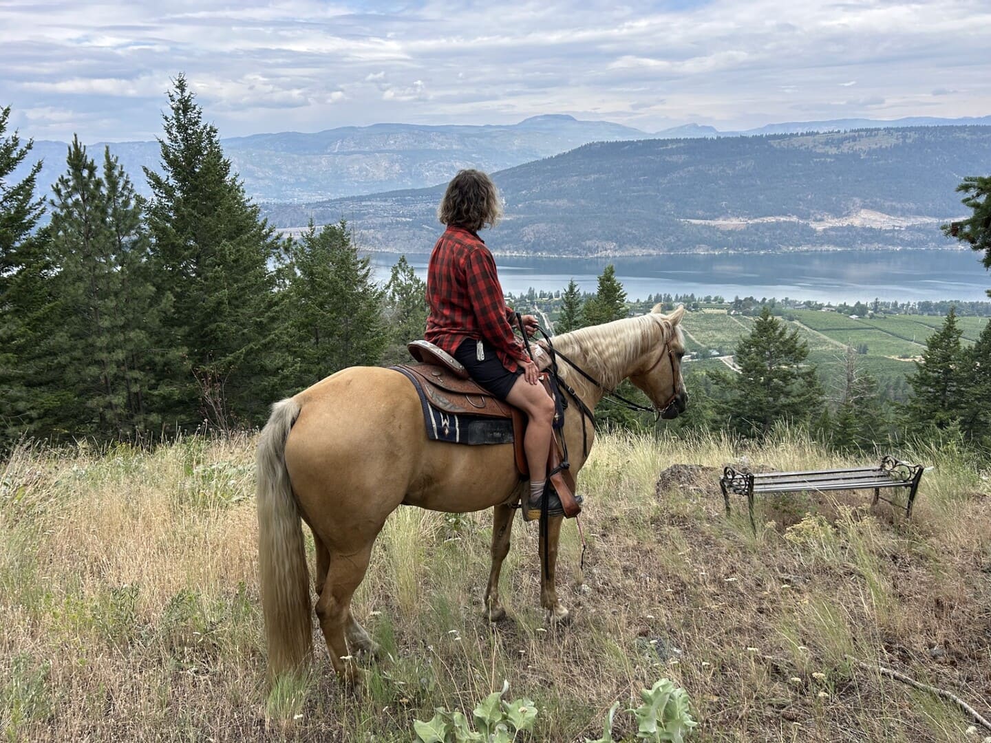 Okanagan Stables