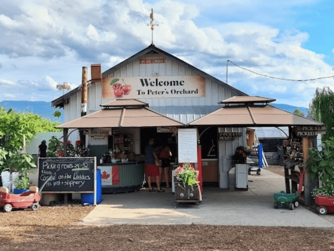 Peter's U-Pick Orchard - Vernon