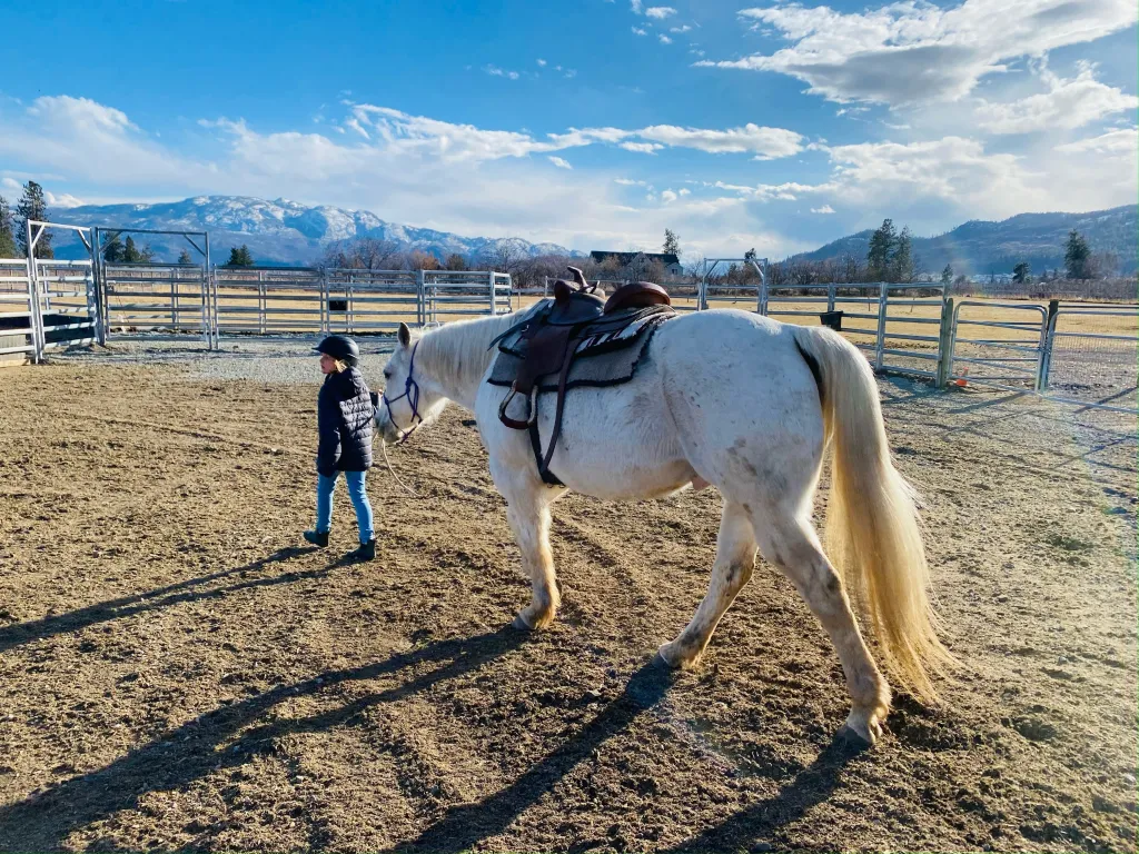 West Kelowna Stables