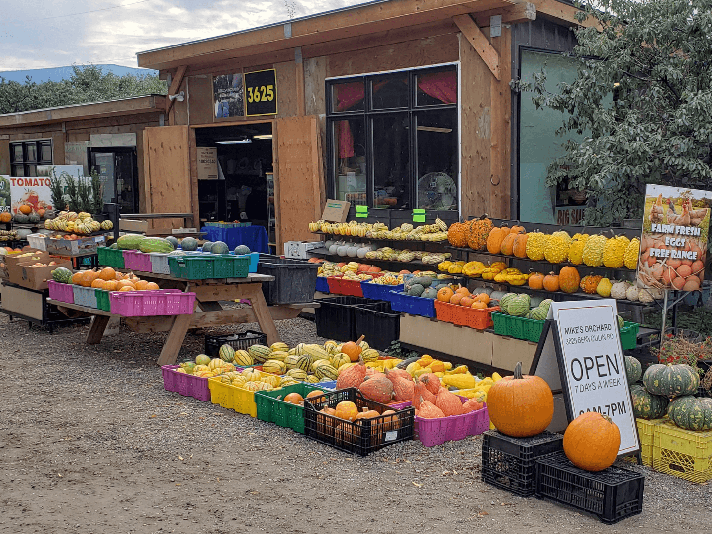 Mike's Orchard - Kelowna