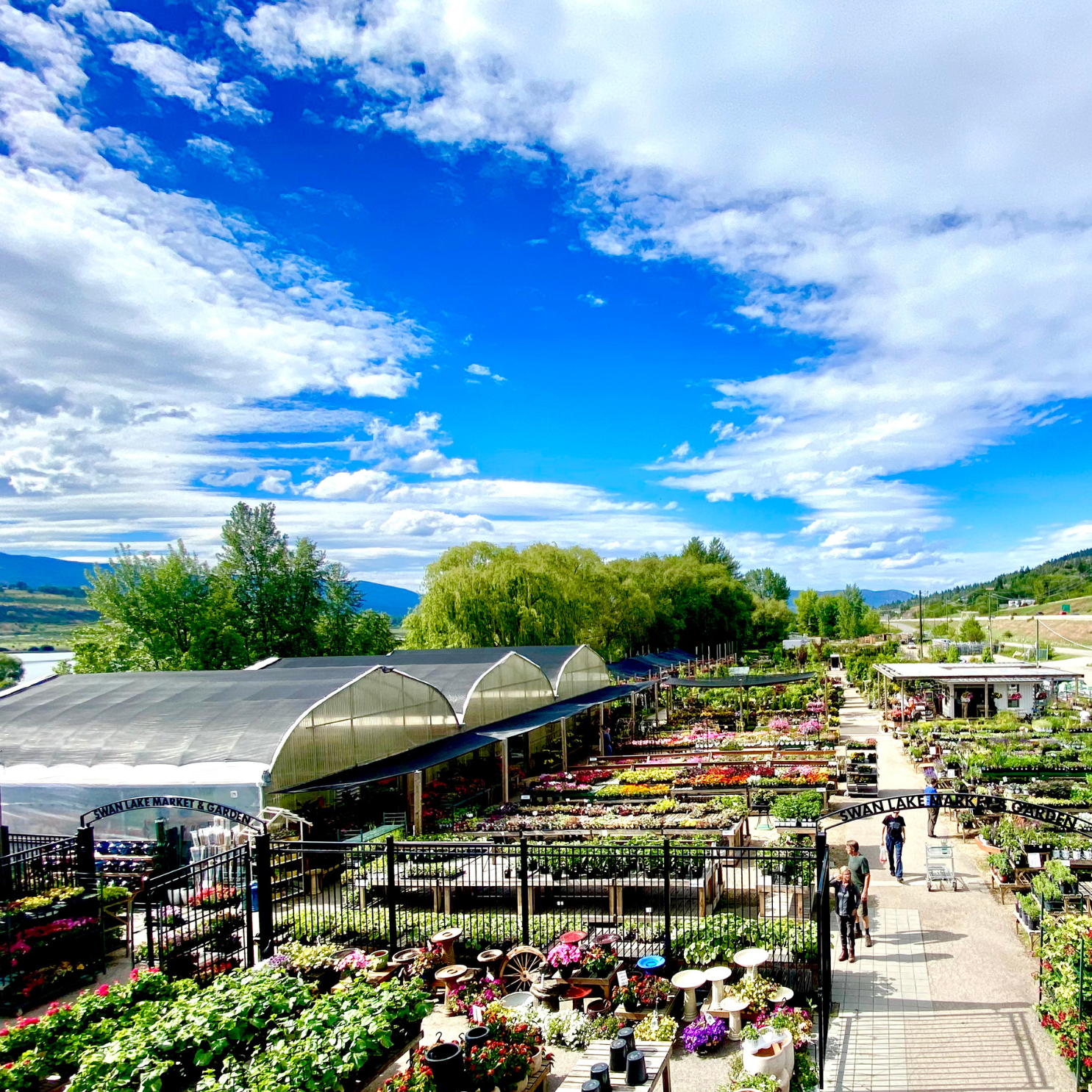 Swan Lake Market & Garden - Vernon