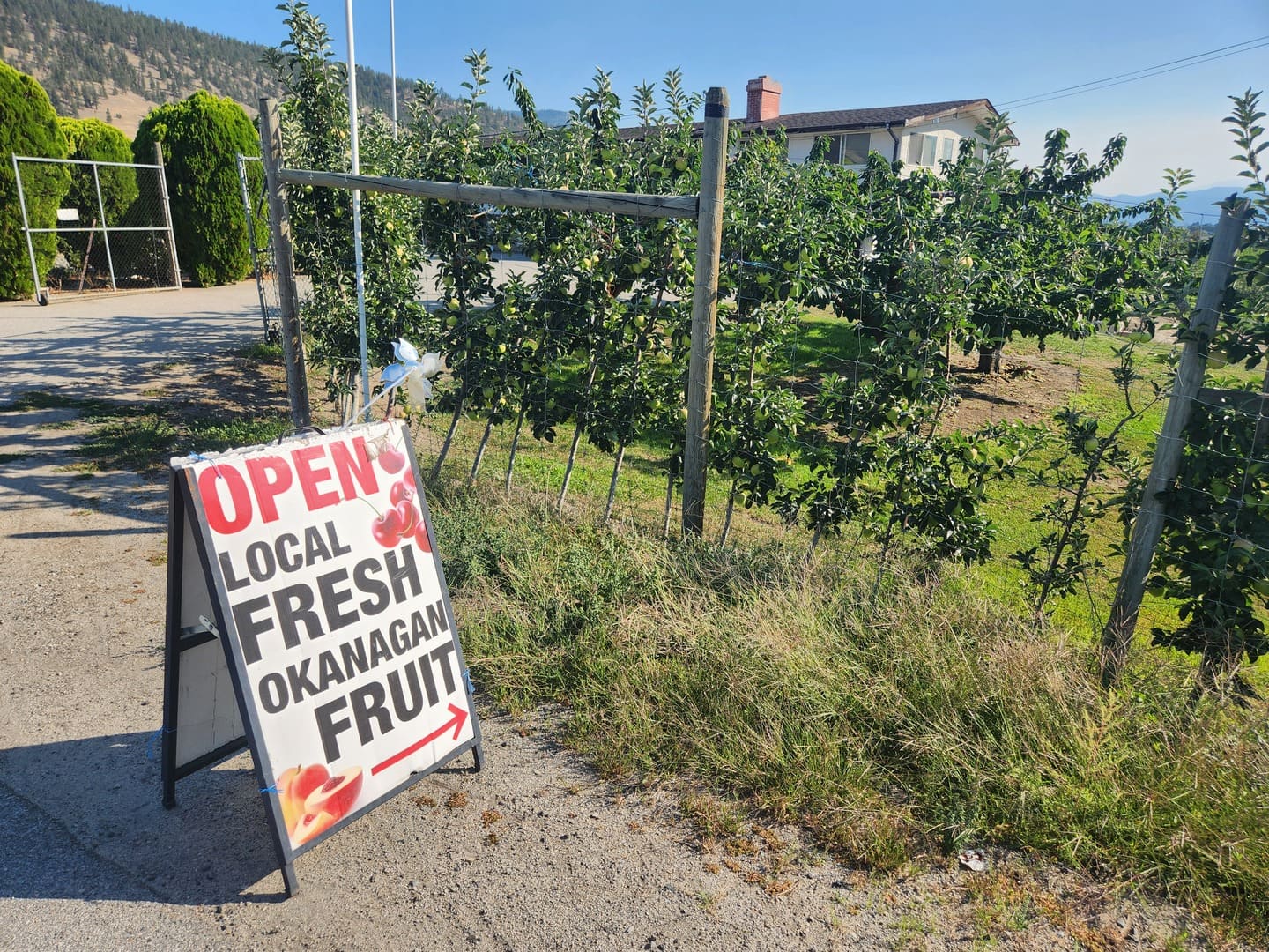 Greenway Fruit Stand - Penticton