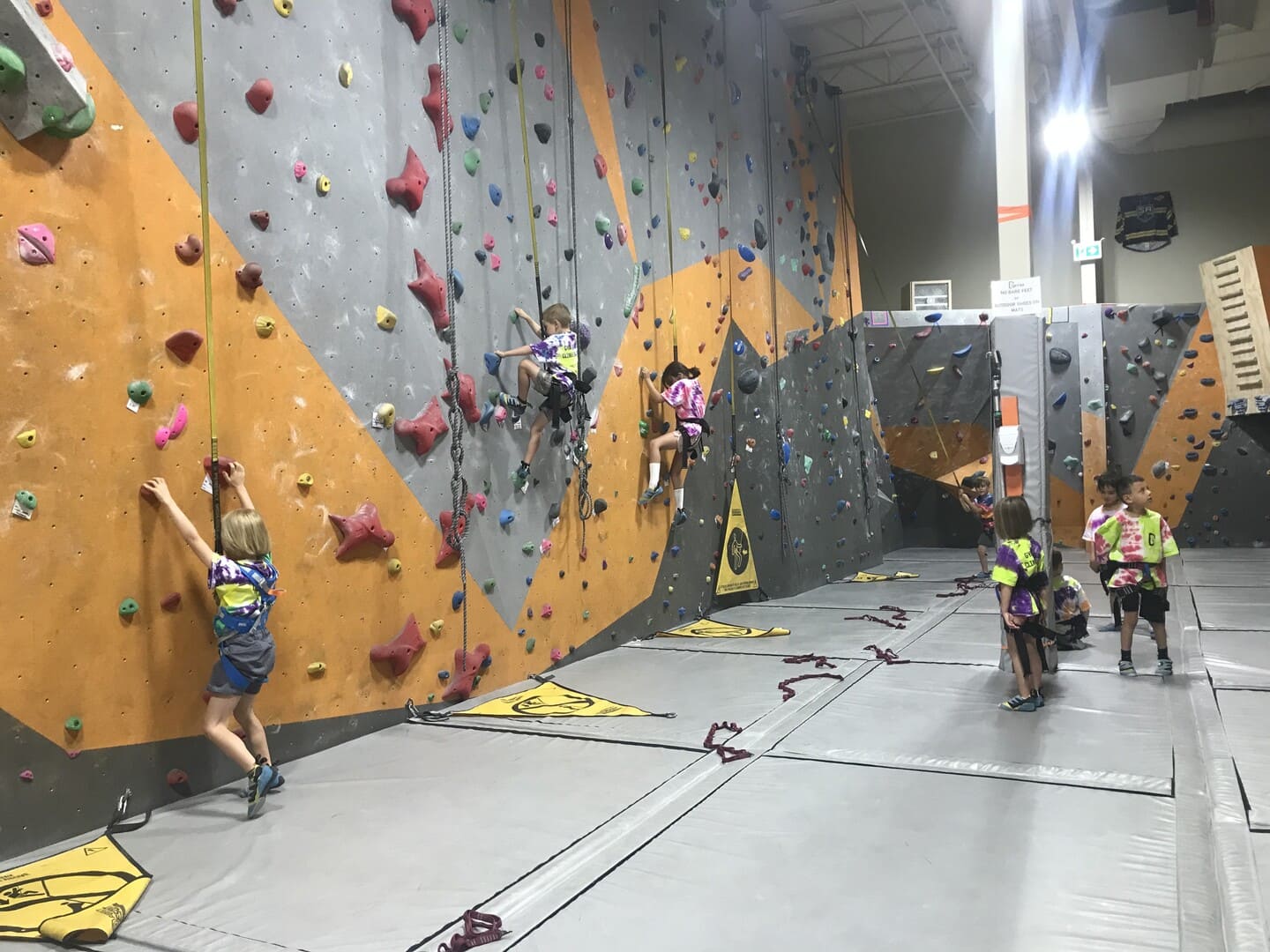Gym of Rock - Salmon Arm