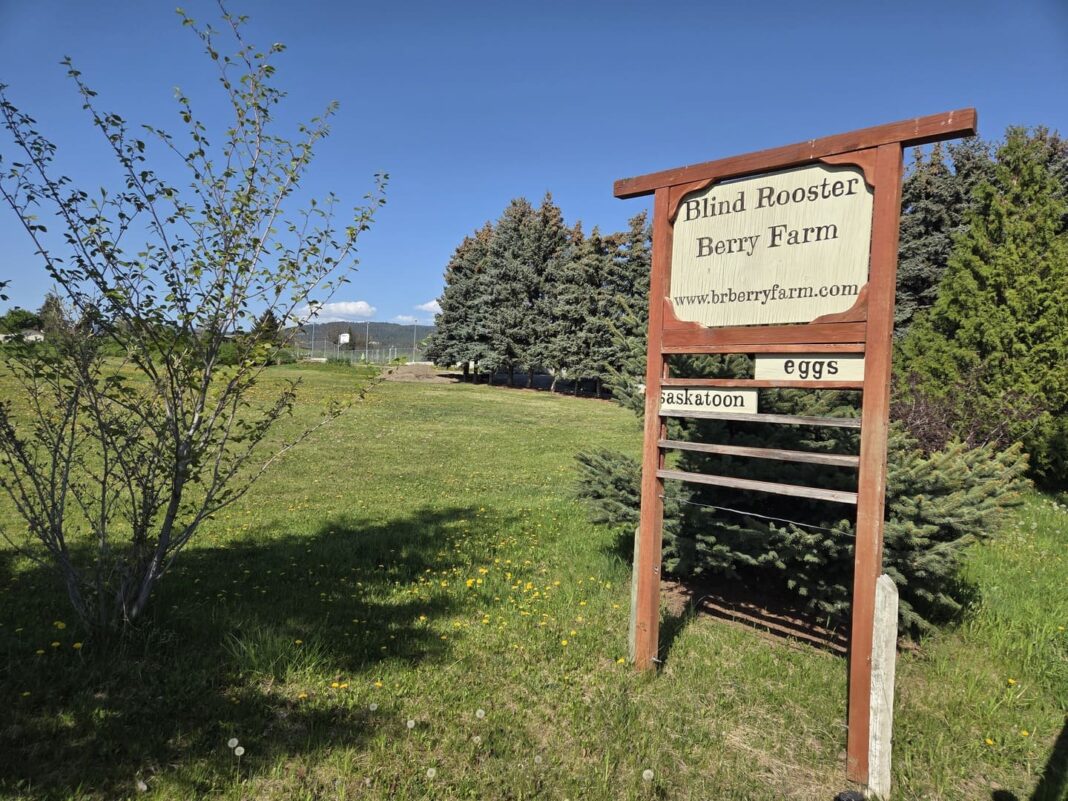 Blind Rooster Berry Farm - Kelowna