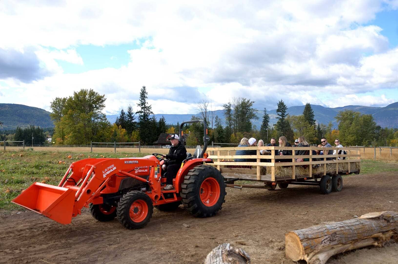 Harpur Family Farm & Pumpkin Patch - Salmon Arm