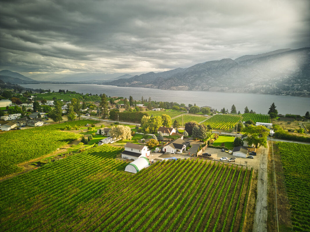 Lakeboat Vineyard & Winery - Kaleden