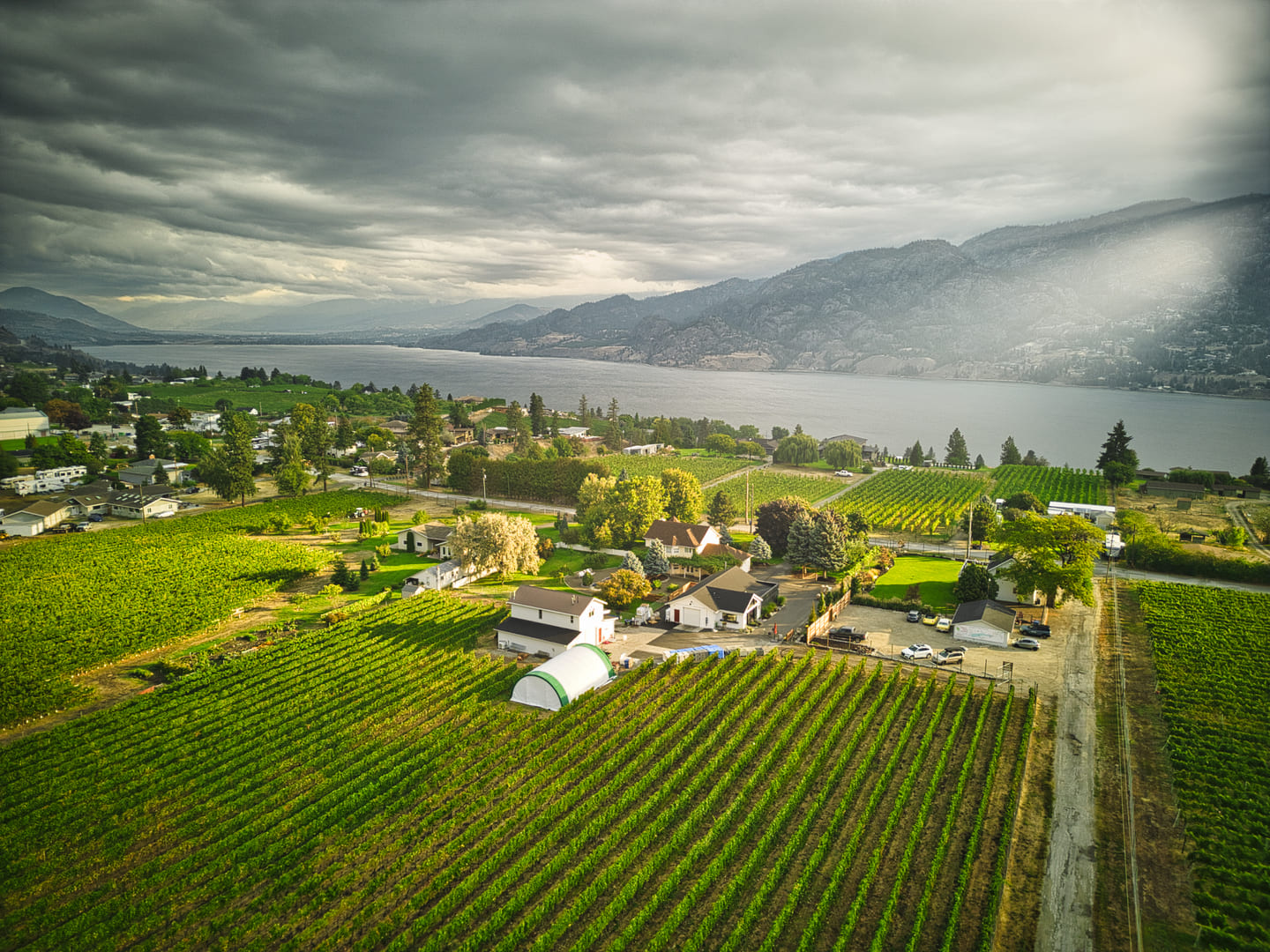 Lakeboat Vineyard & Winery - Kaleden