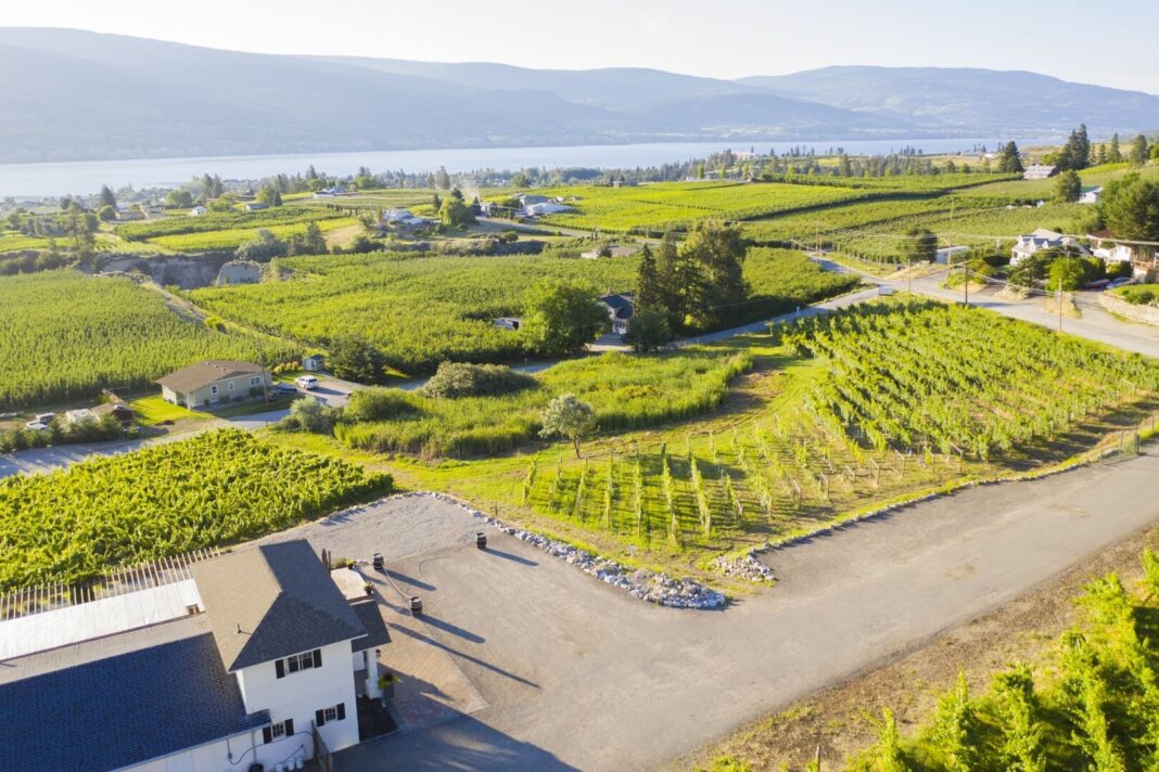 Lunessence Winery & Vineyard - Summerland