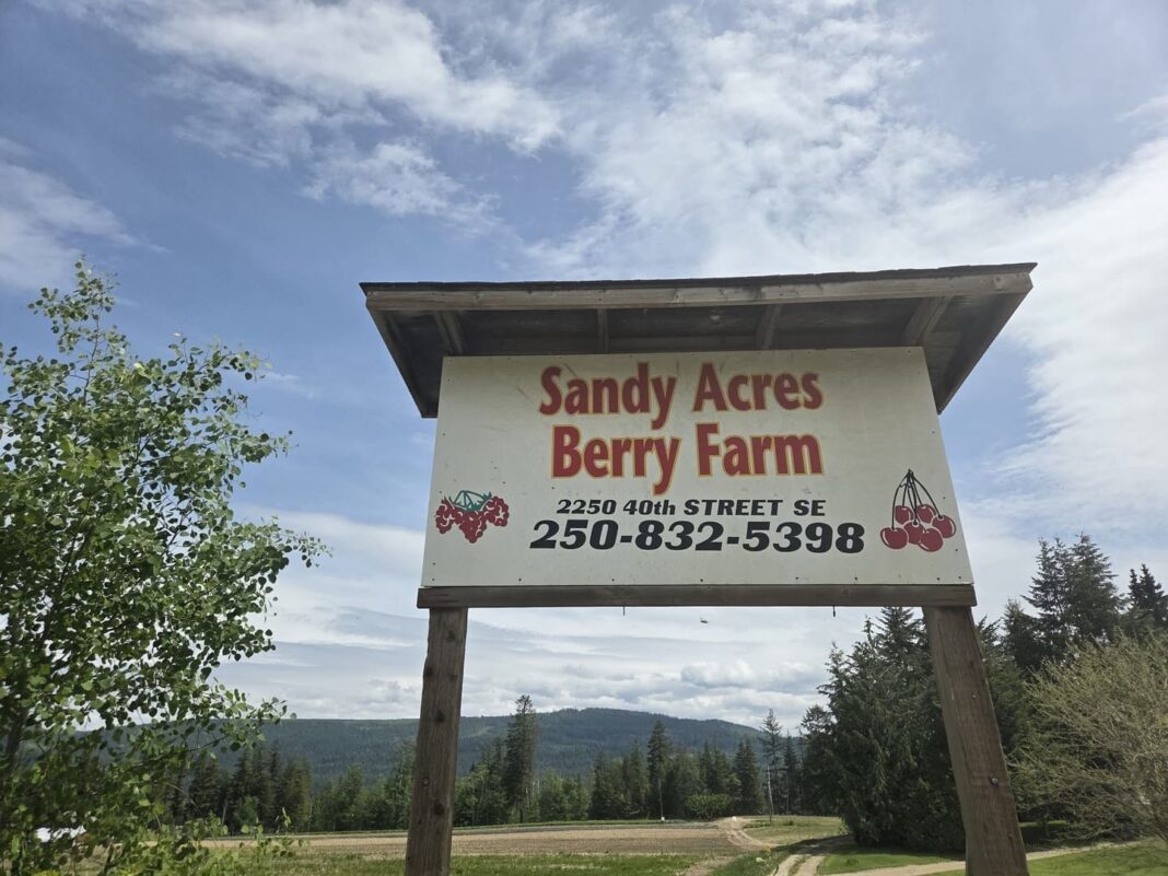 Sandy Acres Berry Farm - Salmon Arm