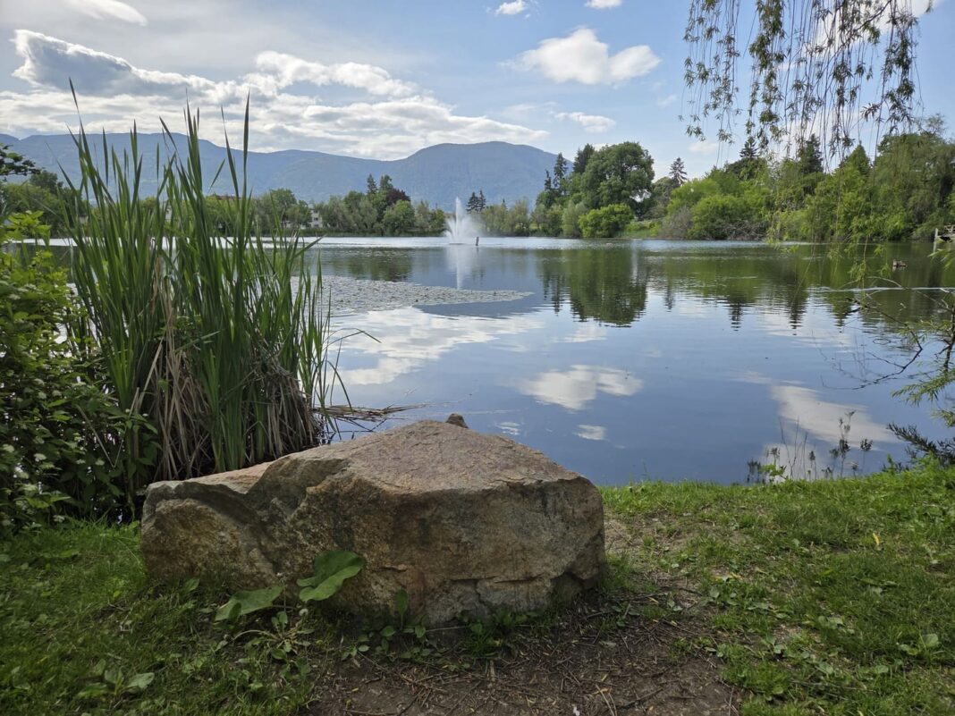 McGuire Lake Park Salmon Arm